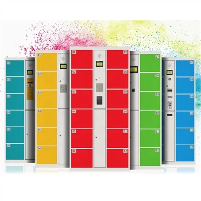 Dilokara tša polokelo ya elektroniki .